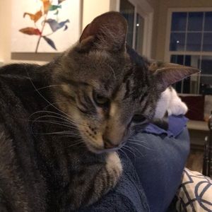 Meet your Posher, Kelly